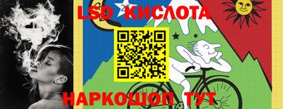 амф Сланцы