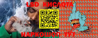 амф Сланцы