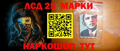 амф Сланцы