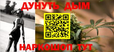 амф Сланцы