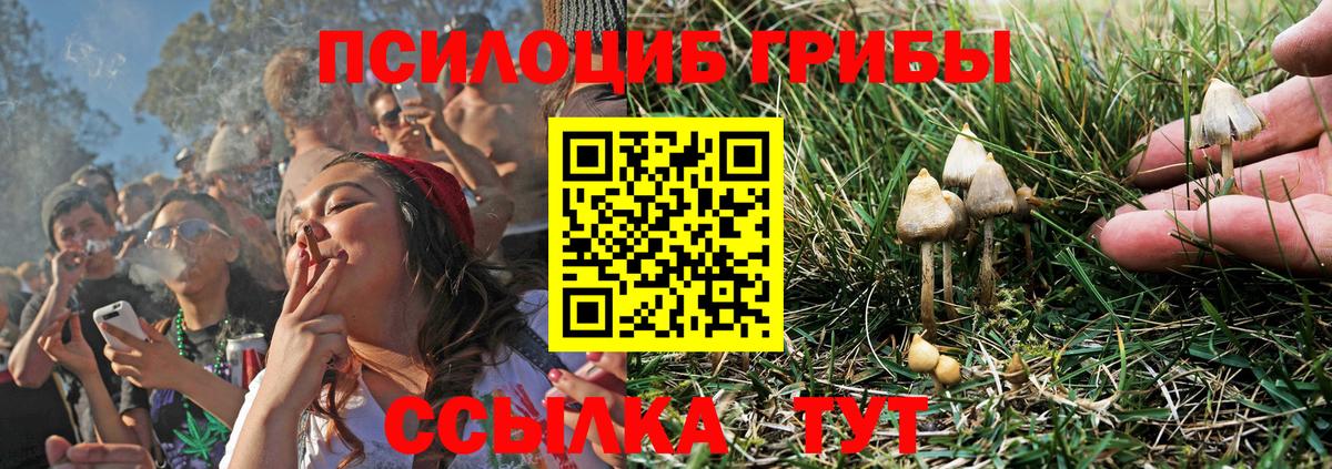 Галлюциногенные грибы Psilocybine cubensis  Вход с VPN  Галлюциногенные грибы MAGIC MUSHROOMS  Снежинск 